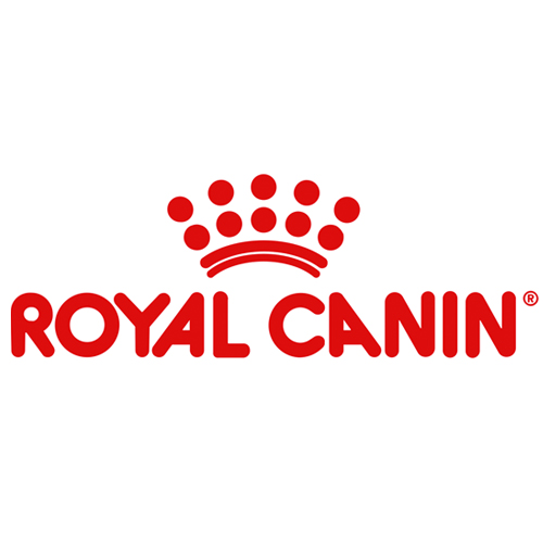 Royal C logo